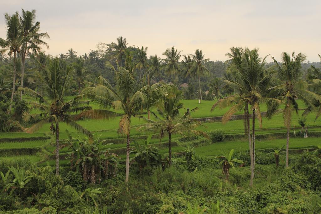 Puri Padma Hotel Ubud Kültér fotó