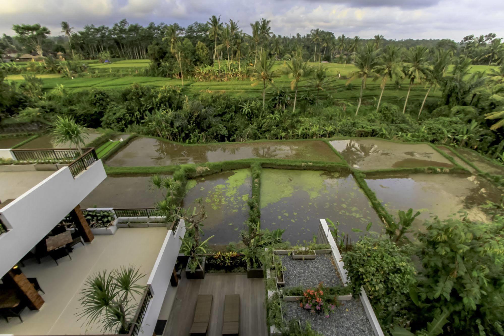Puri Padma Hotel Ubud Kültér fotó